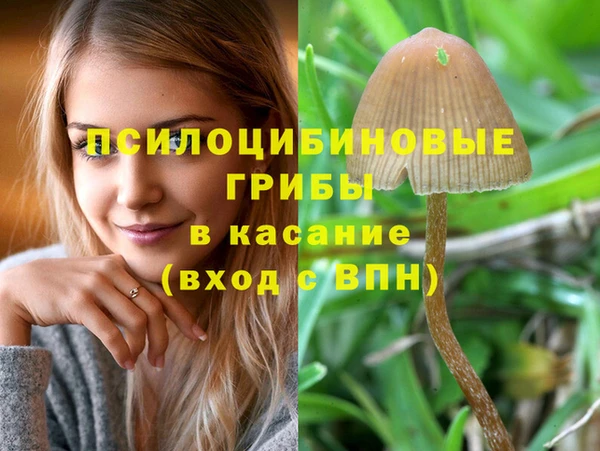 а пвп мука Осинники