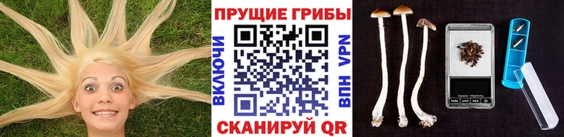kraken маркетплейс  Сурск  Псилоцибиновые грибы прущие грибы 